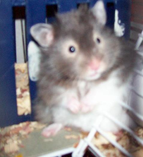 100_0158xzc.jpg
