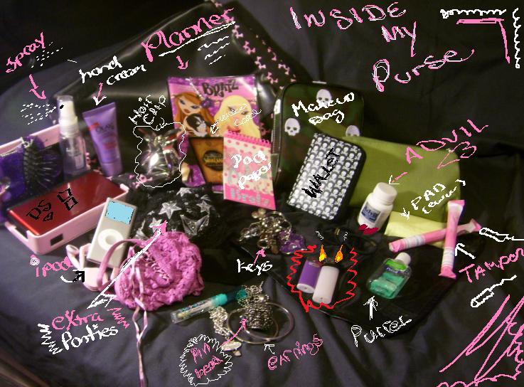 pursemakeupbag2.jpg